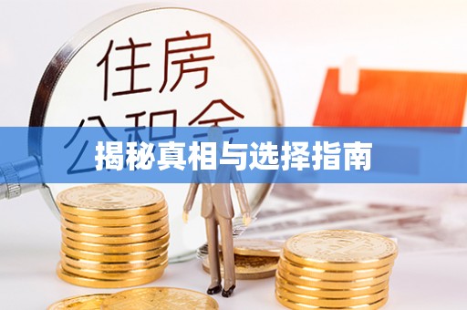 金宁揭秘真相与选择指南