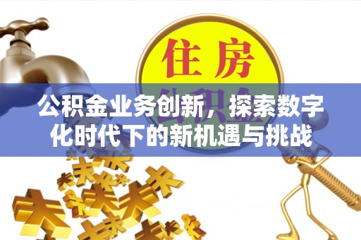 金宁公积金业务创新，探索数字化时代下的新机遇与挑战