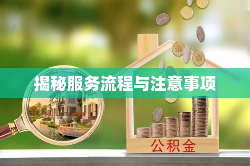 金宁揭秘服务流程与注意事项
