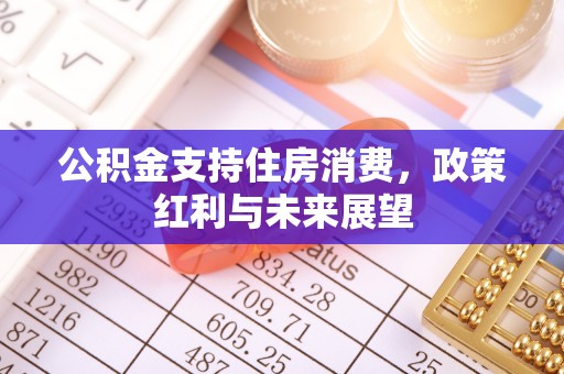 金宁公积金支持住房消费，政策红利与未来展望
