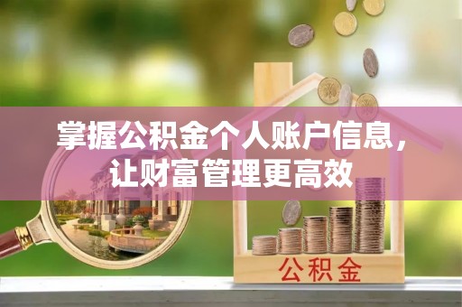 金宁掌握公积金个人账户信息，让财富管理更高效