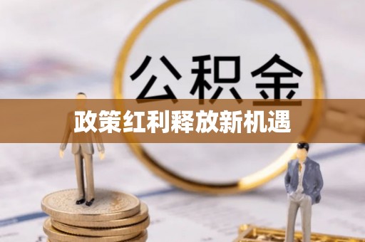 金宁政策红利释放新机遇