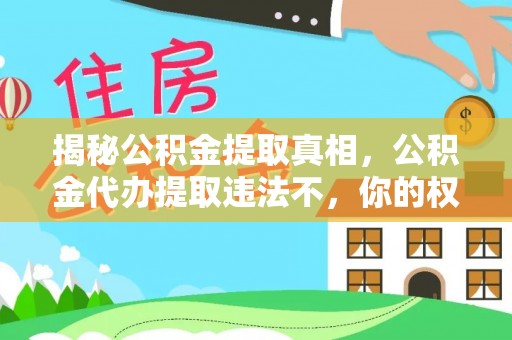 金宁揭秘公积金提取真相，公积金代办提取违法不，你的权益如何保障？