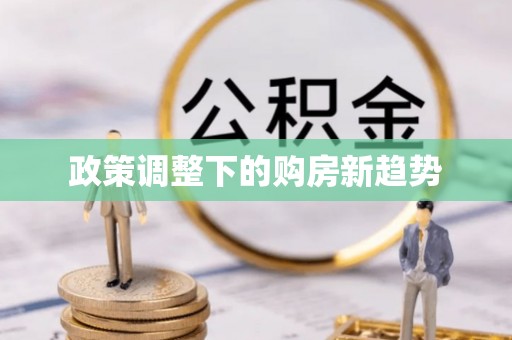 金宁政策调整下的购房新趋势