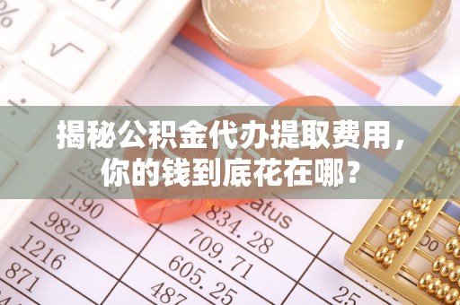 金宁揭秘公积金代办提取费用，你的钱到底花在哪？