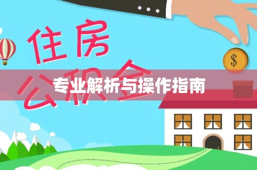 金宁专业解析与操作指南